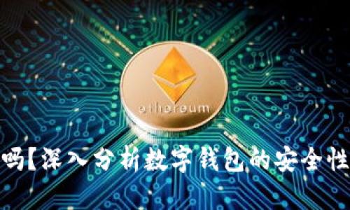 TP钱包安全吗？深入分析数字钱包的安全性与保护措施