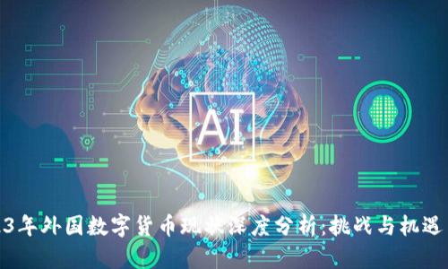 2023年外国数字货币现状深度分析：挑战与机遇并存