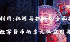 数字货币利用：机遇与挑战的全面探讨深入了解