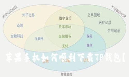 苹果手机如何顺利下载TP钱包？