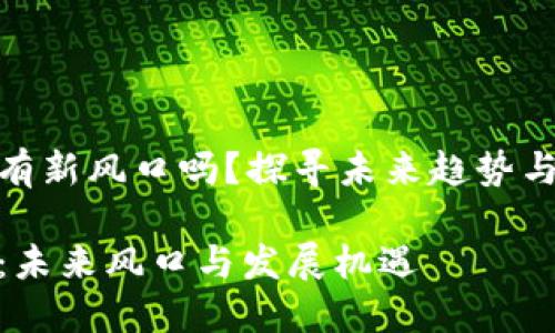 数字货币有新风口吗？探寻未来趋势与发展机遇

数字货币：未来风口与发展机遇