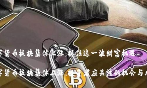 数字货币板块集体上涨：抓住这一波财富机遇

数字货币板块集体上涨，投资者应关注的机会与风险