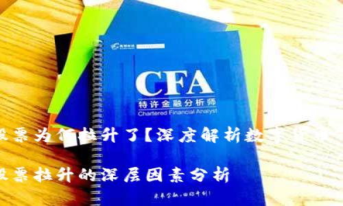 数字货币股票为何拉升了？深度解析数字货币市场的崛起

数字货币股票拉升的深层因素分析