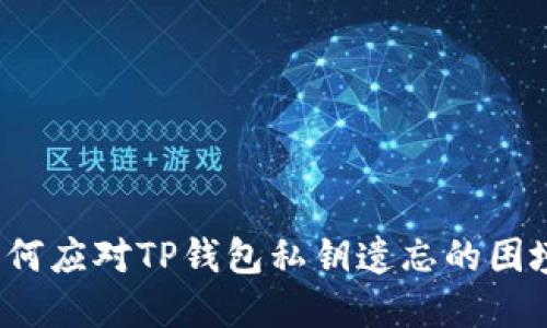 如何应对TP钱包私钥遗忘的困境？