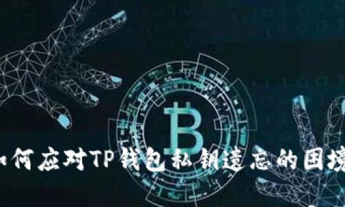 如何应对TP钱包私钥遗忘的困境？