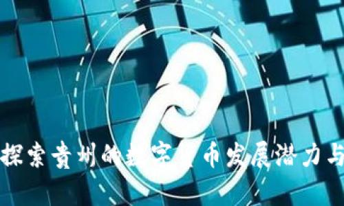 深入探索贵州的数字货币发展潜力与前景