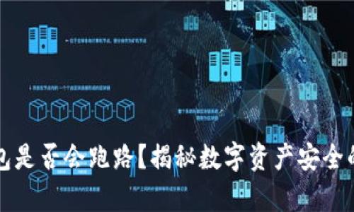 TP钱包是否会跑路？揭秘数字资产安全的真相
