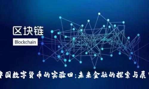 中国数字货币的实验田：未来金融的探索与展望