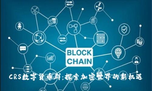 CRS数字货币群：探索加密世界的新机遇