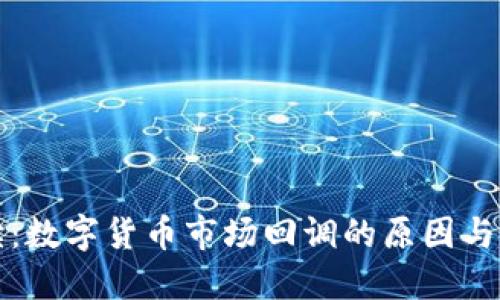 深入解读：数字货币市场回调的原因与未来走势