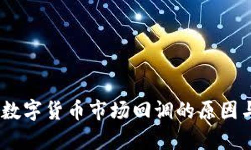 深入解读：数字货币市场回调的原因与未来走势