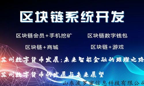 苏州数字货币发展：未来智能金融的璀璨之路

苏州数字货币的发展与未来展望