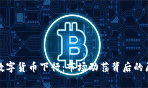 深度解析数字货币下行：市场动荡背后的原因与应对