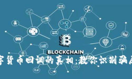 揭开数字货币回调的真相：教你识别骗局与风险