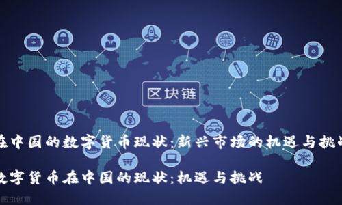 在中国的数字货币现状：新兴市场的机遇与挑战

数字货币在中国的现状：机遇与挑战