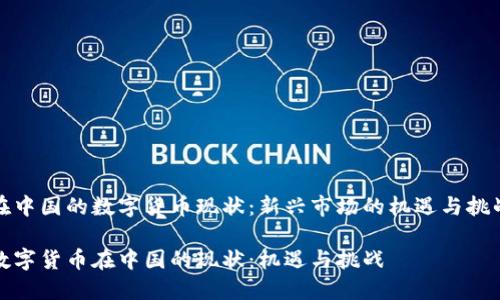 在中国的数字货币现状：新兴市场的机遇与挑战

数字货币在中国的现状：机遇与挑战