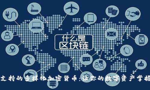 TP钱包支持的多样化加密货币：让你的数字资产掌握在手中