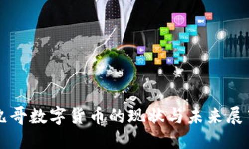 九哥数字货币的现状与未来展望