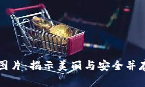 以太坊经典钱包图片：揭示美丽与安全并存的数字资产之旅