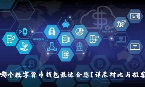 哪个数字货币钱包最适合您？详尽对比与推荐
