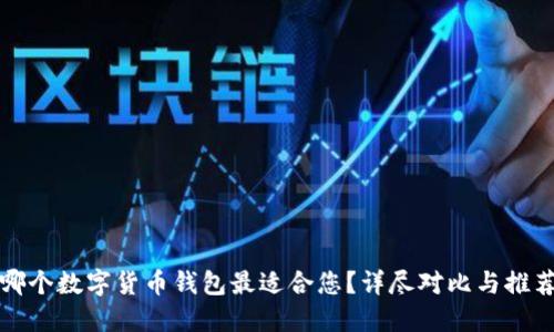哪个数字货币钱包最适合您？详尽对比与推荐