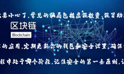 在讨论TP钱包地址是否会被盗之前，我们需要先了解什么是钱包地址，以及它们在加密货币世界中的作用。TP钱包是一个非常流行的数字钱包，允许用户存储、管理和交易他们的加密资产。用户通常会使用自己的钱包地址来接收货币，这样可以方便地进行交易和转账。

什么是钱包地址？

钱包地址是一个唯一的字符串，通常由字母和数字组成。例如，Ethereum的地址是以“0x”开头的，而比特币地址则可能以“1”、“3”或“bc1”开头。钱包地址就像是你的银行账户号码，你可以安全地分享以接收资金。

钱包地址的安全性

那么发给别人钱包地址是否安全呢？一般情况下，分享你的钱包地址是没有问题的。因为地址本身是公开的，其他人可以在区块链上查看。仅凭钱包地址，别人无法直接盗取你的资产。

但为何有人会担心钱包地址被盗？

虽然仅仅分享钱包地址不会导致被盗，但要注意的是，如果你在社交网络或公开场合分享其它敏感信息，例如你的私钥或助记词，这才是真正危险的。私钥是控制你钱包和资产的唯一凭证，一旦失去，任何人都可以拿走你的资产。

如何保障TP钱包的安全性？

为了确保你的TP钱包安全，建议遵循以下步骤：

1. **保护私钥和助记词**  
    确保这些信息存储在安全的地方，不要用短信或邮件分享。能给你的资产提供保护的就是这两条，失去它们就意味着失去所有。

2. **启用双重认证**  
    有的应用程序提供双重身份验证功能，这增加了一次额外的安全链。即使有人获取了你的密码，也无法轻易登入。

3. **定期更新密码**  
    定期更改你的密码并使用强密码，不要使用容易猜测的个人信息。强密码通常包括字母、数字和特殊字符的组合。

发给别人钱包地址的场合和注意事项

在大多数情况下，人们需要在交易时分享钱包地址。例如，你准备出售一些加密资产，买家需要这个地址进行转账。在这种情况下，保持冷静、审慎地分享你的钱包地址是必要的。

1. **在信任的场合分享**  
    尽量在你信任的人或机构之间分享，避免在不熟悉的场合或社交网络做公开转账。这能大大降低被诈骗的风险。

2. **保持沟通渠道清晰**  
    在交易之前，确保沟通清楚，确认对方提供的项目或服务真实性。这可以通过查看历史记录或询问其他用户来完成。

为何会有人会被骗？

在加密货币的世界里，还是存在一些诈骗行为的，尽管钱包地址本身是安全的，但诈骗者通常会诱导用户泄露私钥或者在不安全的网站上输入钱包信息。

1. **假冒网站或项目**  
    诈骗者可能会设立一个假冒的交易平台来假借某个项目，以此吸引用户投资。在输入信息之前务必确认网站的真实性。

2. **社交工程**  
    有些人可能会通过假装是技术支持或者熟人来向你求助，让你放松警惕并获取你的私钥或助记词。保持冷静与警惕，不要轻易相信他人。

对于新手用户的建议

如果你是新手用户，对加密货币的了解不是很多，那么最重要的是学习基础知识。建议尽量参与有关安全性和交易流程的课程或讨论，提升自己的技能和知识。

1. **参加线上课程**  
    许多平台提供免费的在线课程，了解钱包安全知识，帮助你在加密货币的世界中游刃有余。

2. **阅读相关书籍和文章**  
    如今网络上有大量相关的资源，充分利用这些资料助你提高认知，为自己的安全奠定良好基础。

通过深入分析上述内容，相信你对TP钱包地址的安全性有了更全面的理解。从这个角度来看，无论是分享钱包地址还是进行其他的加密货币交易，关键在于保持警惕和善用安全策略。借助知识来保护你的资产，才能更好地享受加密货币所带来的便利与乐趣。

现在，这里有两个相关的问题，可能大家会有兴趣进行探讨：

1. **如果将我的钱包地址分享给不熟悉的人，可能面临哪些风险？**
   
   首先，分享钱包地址本身是安全的，但如果不熟悉的对方要求你进行某种操作，比如输入私钥或发送资金，就要小心了。常见的骗局包括虚假投资、假冒助理等，它们通常会借用信任的外衣来诱导用户作出不理智的决定。

2. **我该如何用技术手段增强我的TP钱包安全性？**

   可以考虑使用硬件钱包，它们是物理设备，比传统软件钱包更安全。加密技术也在不断发展，通过学习新技术的应用，定期更新你的钱包和安全设置，确保资产更加安全。

希望这些信息能帮助你更好地理解TP钱包的使用，以及在分享地址时需注意的事项。无论你是在加密货币的旅程中处于哪个阶段，记住安全的第一条原则，让我们共同维护这个新兴市场的安全与信任！