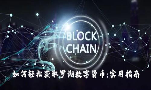 如何轻松获取罗湖数字货币：实用指南