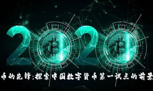 数字货币的先锋：探索中国数字货币第一试点的前景与挑战