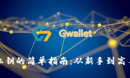 TP钱包导入私钥的简单指南：从新手到高手的完美路径