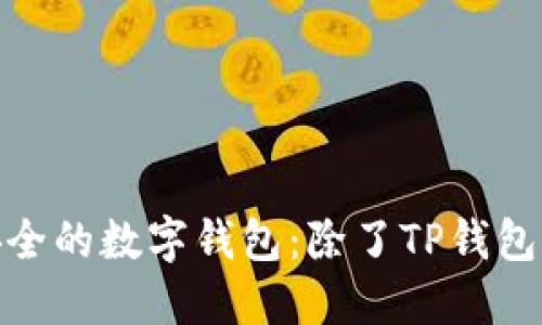 探索高效安全的数字钱包：除了TP钱包的更多选择