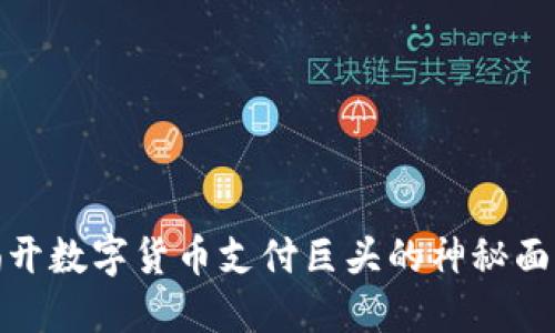 揭开数字货币支付巨头的神秘面纱