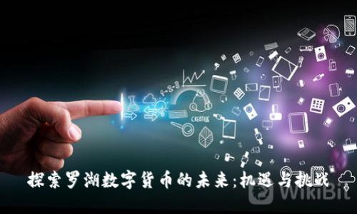 探索罗湖数字货币的未来：机遇与挑战