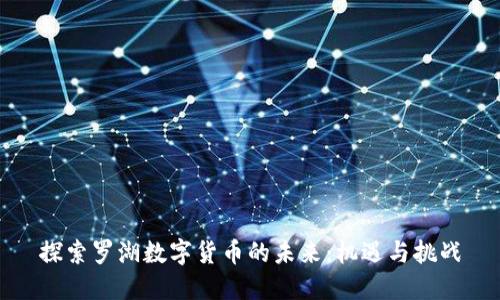 探索罗湖数字货币的未来：机遇与挑战