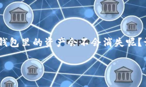 在当前数字经济的时代，钱包中的资产安全性是许多人关心的话题。那么，T P钱包里的资产会不会消失呢？让我们一起来探讨这个问题，从多个角度分析T P钱包的运作机制和潜在风险。

如何确保T P钱包资产安全，避免消失的全面分析