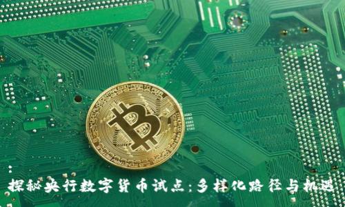 :
探秘央行数字货币试点：多样化路径与机遇