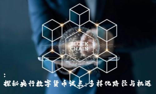 :
探秘央行数字货币试点：多样化路径与机遇