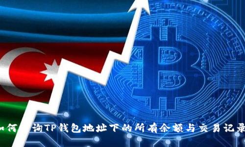 如何查询TP钱包地址下的所有余额与交易记录？