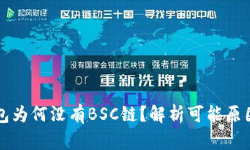 电脑版TP钱包为何没有BSC链？解析可能原因与解决方案