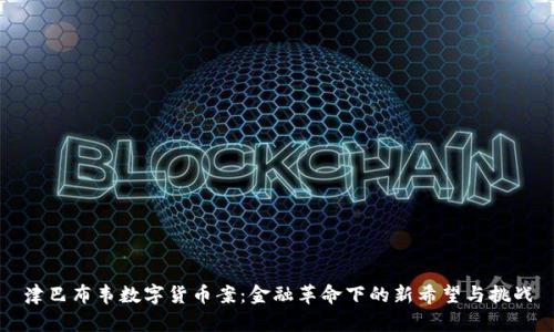 津巴布韦数字货币案：金融革命下的新希望与挑战