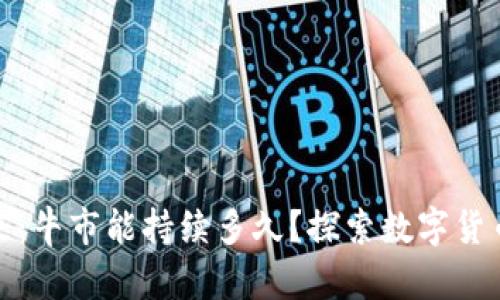 数字货币的未来：牛市能持续多久？探索数字货币的潜力与挑战