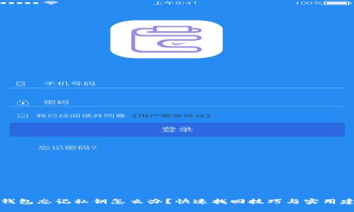 TP钱包忘记私钥怎么办？快速找回技巧与实用建议