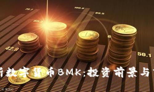 深入解析数字货币BMK：投资前景与市场动态