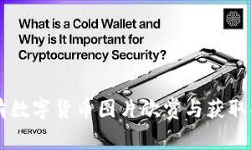 高清数字货币图片欣赏与获取指南