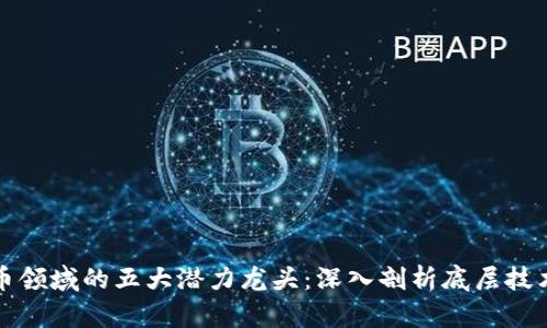 数字货币领域的五大潜力龙头：深入剖析底层技术的未来