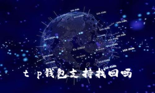 t p钱包支持找回吗