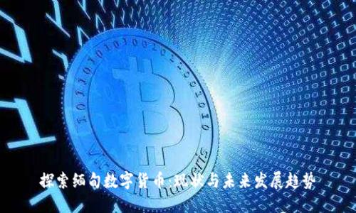 探索缅甸数字货币：现状与未来发展趋势