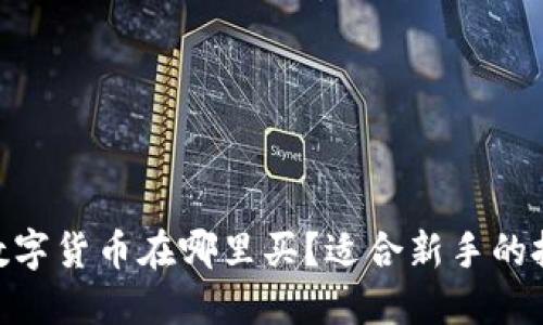 490元数字货币在哪里买？适合新手的投资指南