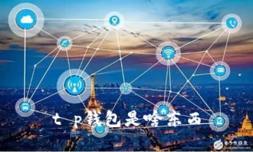 t p钱包是啥东西