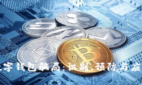揭秘数字钱包骗局：识别、预防与应对技巧
