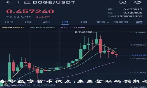 长春市数字货币试点：未来金融的创新之路